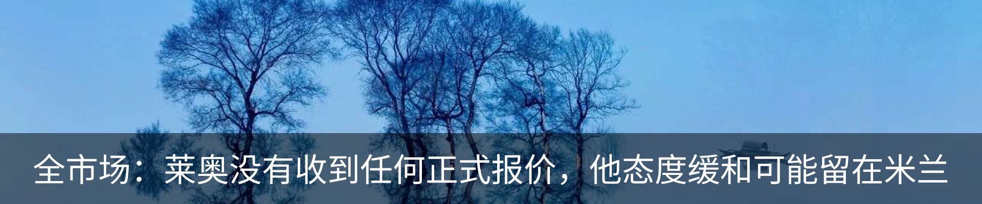 新闻动态
