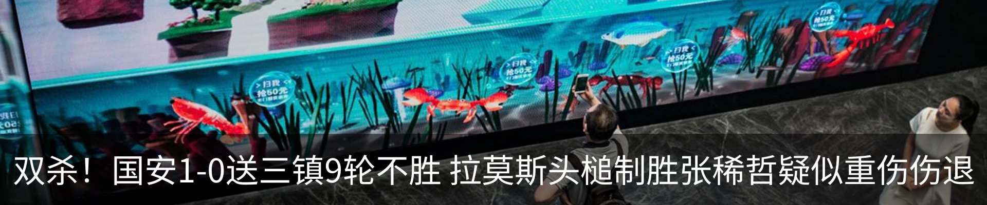 新闻动态
