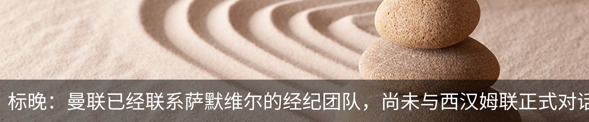 新闻动态